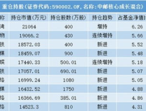 中邮成长基金净值590002,中邮成长基金590002净值动态解析与投资分析