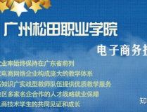 电子商务主修什么,电子商务专业核心课程与技能概览