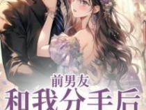 最好看的言情完结小说,盘点近期最受欢迎的言情完结小说佳作